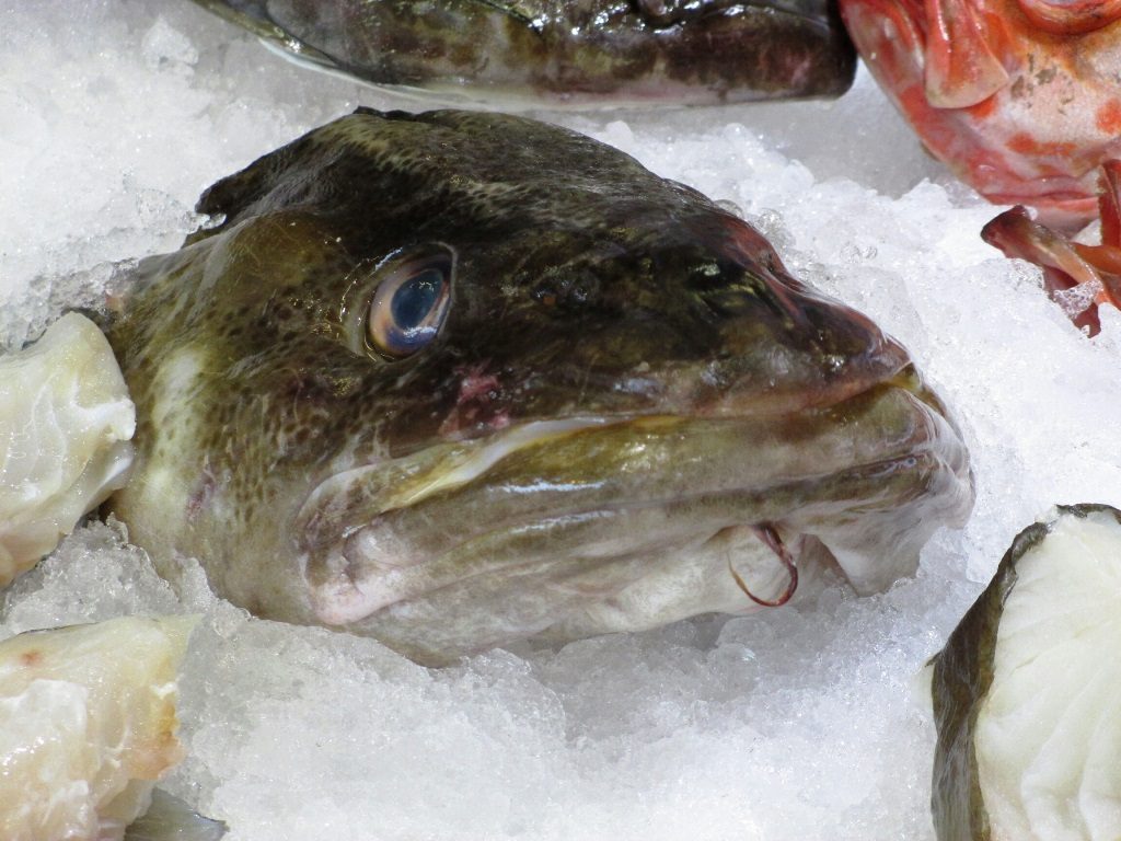 Fish for sale at Bergen Fish Market. Photo: Doug Tomren